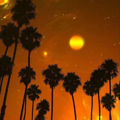 精伦电子股份有限公司关于公司股票可能存在因市值低于5亿元而终止上市的第四次风险提示公告